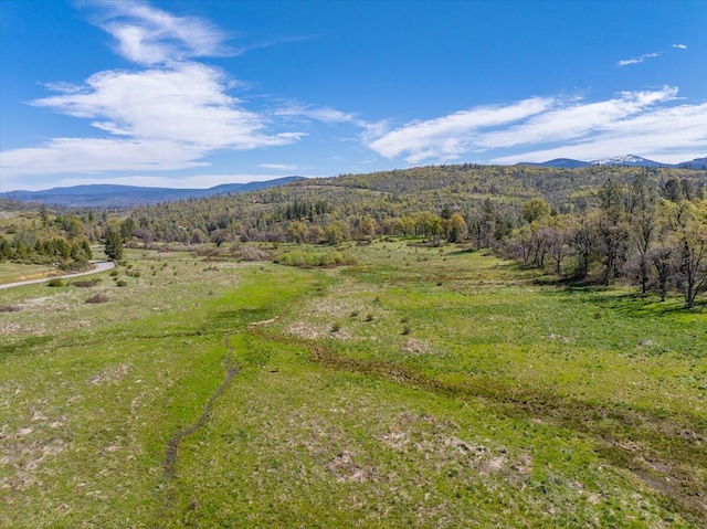 mountain view featuring a forest view