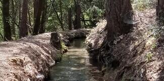 view of nature