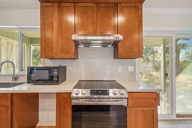 kitchen with a sink, crown molding, exhaust hood, stainless steel electric range oven, and black microwave