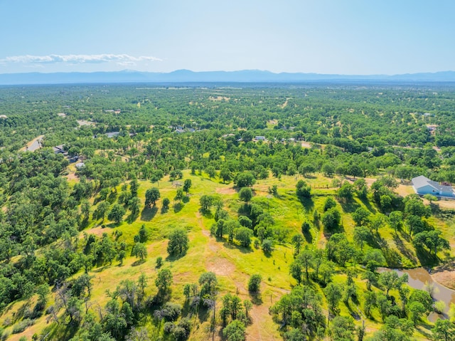 drone / aerial view featuring a mountain view and a view of trees