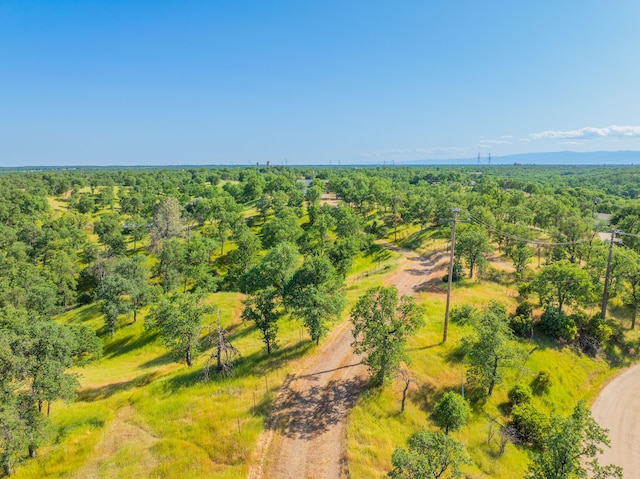 bird's eye view featuring a view of trees