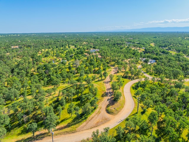 aerial view featuring a forest view