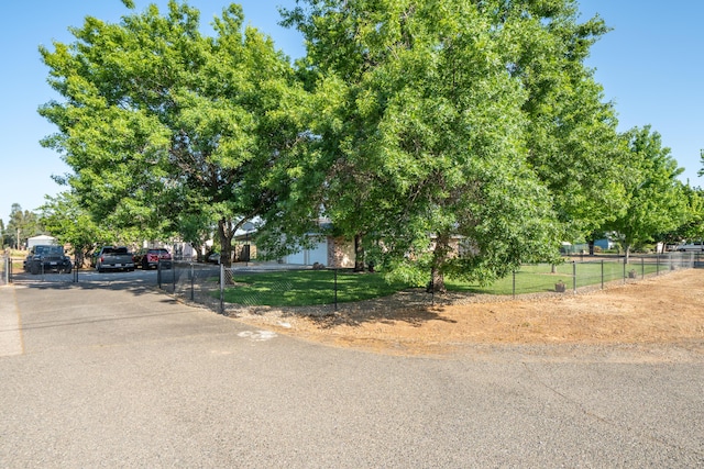 obstructed view of property with a front yard and fence