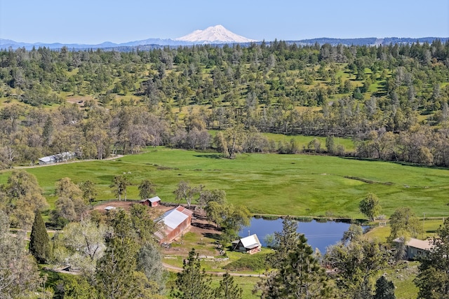 9568 Blue Mountain Ranch Rd, Whitmore, CA 96096 - photo 2