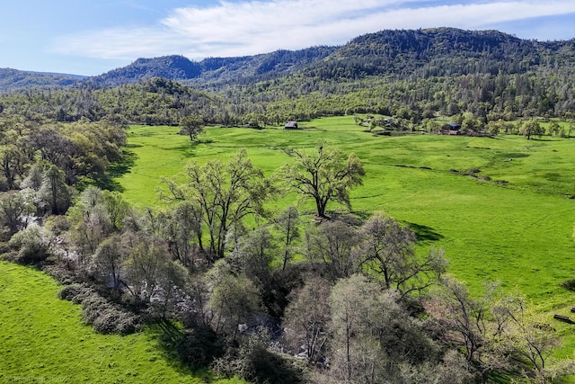 9568 Blue Mountain Ranch Rd, Whitmore, CA 96096 - photo 3