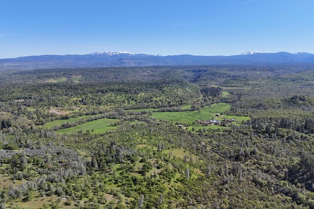 9568 Blue Mountain Ranch Rd, Whitmore, CA 96096 - photo 5