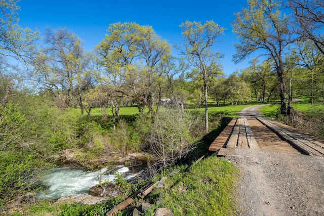 9568 Blue Mountain Ranch Rd, Whitmore, CA 96096 - photo 11