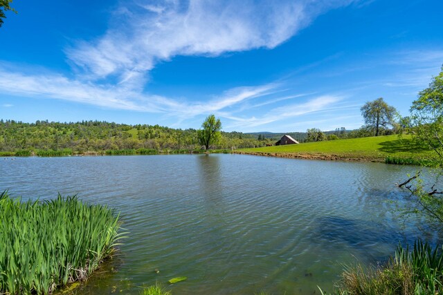9568 Blue Mountain Ranch Rd, Whitmore, CA 96096 - photo 13