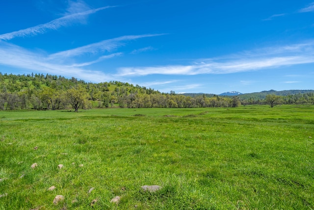 9568 Blue Mountain Ranch Rd, Whitmore, CA 96096 - photo 32