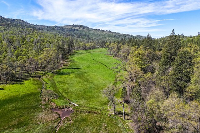 9568 Blue Mountain Ranch Rd, Whitmore, CA 96096 - photo 33