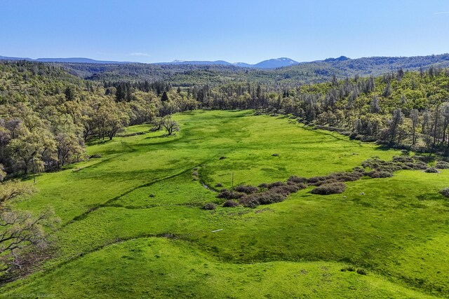 9568 Blue Mountain Ranch Rd, Whitmore, CA 96096 - photo 34