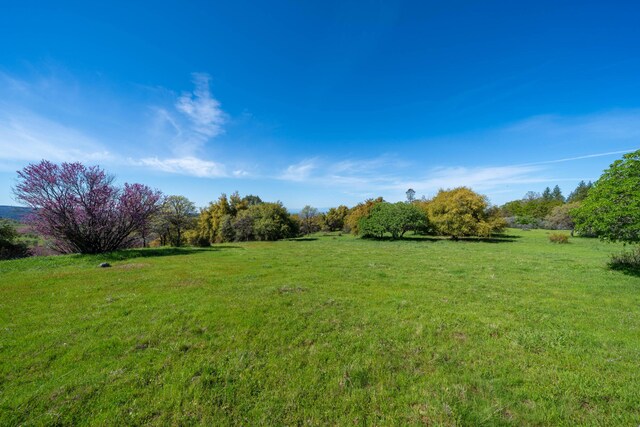 9568 Blue Mountain Ranch Rd, Whitmore, CA 96096 - photo 39