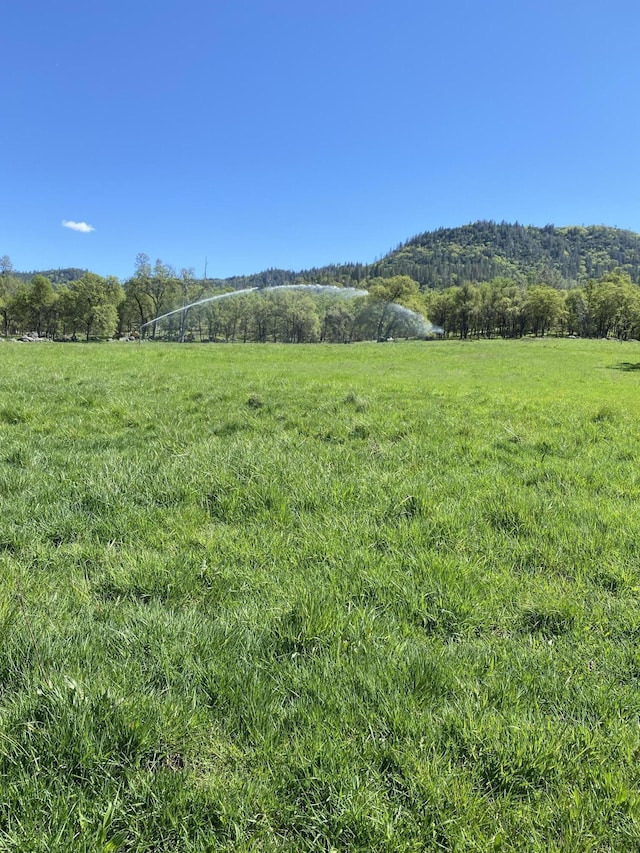 9568 Blue Mountain Ranch Rd, Whitmore, CA 96096 - photo 47