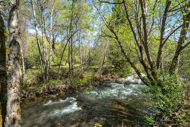 9568 Blue Mountain Ranch Rd, Whitmore, CA 96096 - photo 48