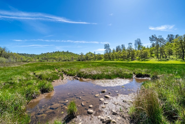 9568 Blue Mountain Ranch Rd, Whitmore, CA 96096 - photo 49