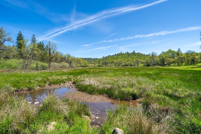 9568 Blue Mountain Ranch Rd, Whitmore, CA 96096 - photo 50