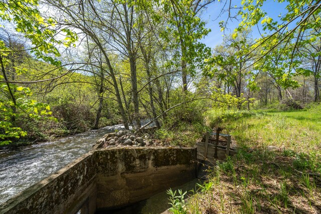 9568 Blue Mountain Ranch Rd, Whitmore, CA 96096 - photo 51