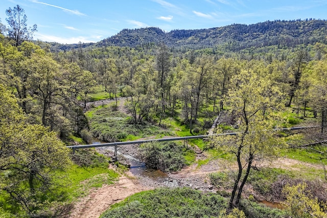 9568 Blue Mountain Ranch Rd, Whitmore, CA 96096 - photo 52
