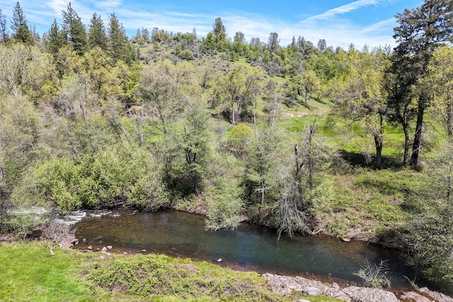 9568 Blue Mountain Ranch Rd, Whitmore, CA 96096 - photo 53