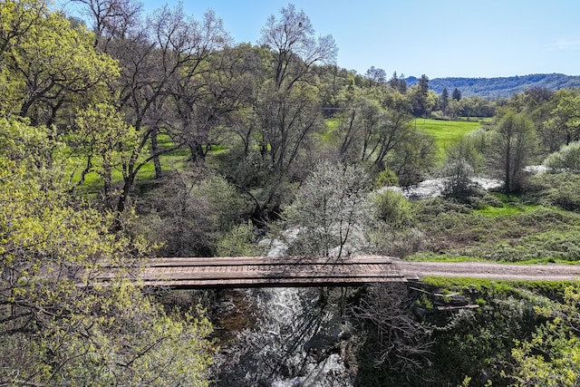 9568 Blue Mountain Ranch Rd, Whitmore, CA 96096 - photo 55