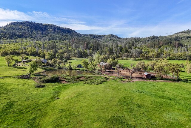 9568 Blue Mountain Ranch Rd, Whitmore, CA 96096 - photo 58