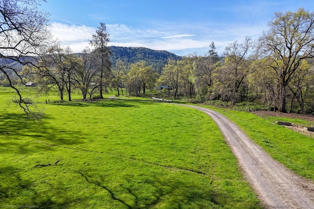 9568 Blue Mountain Ranch Rd, Whitmore, CA 96096 - photo 60