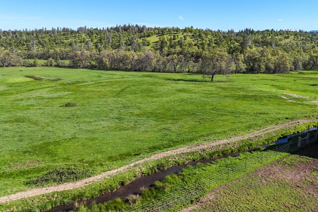 9568 Blue Mountain Ranch Rd, Whitmore, CA 96096 - photo 61