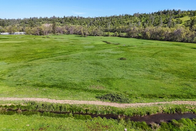 9568 Blue Mountain Ranch Rd, Whitmore, CA 96096 - photo 62
