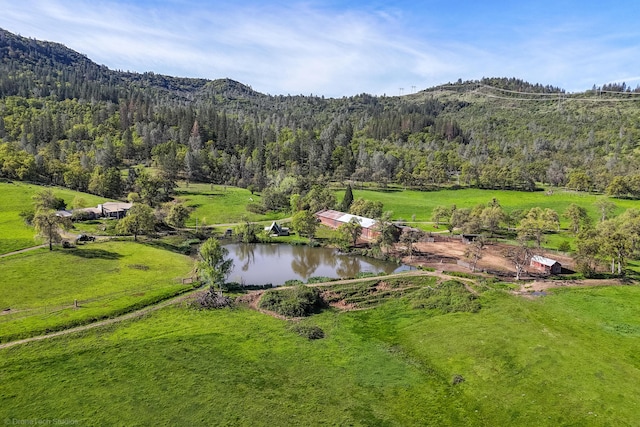 9568 Blue Mountain Ranch Rd, Whitmore, CA 96096 - photo 64
