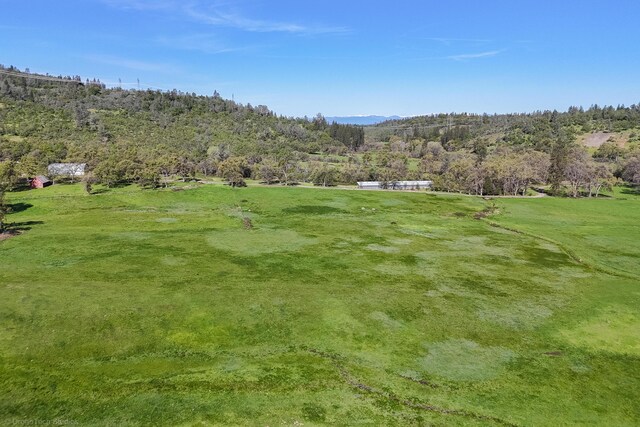 9568 Blue Mountain Ranch Rd, Whitmore, CA 96096 - photo 65