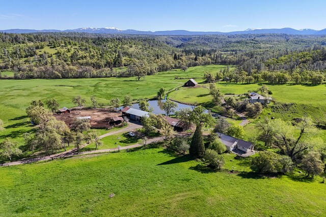 9568 Blue Mountain Ranch Rd, Whitmore, CA 96096 - photo 68