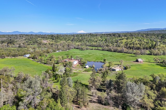 9568 Blue Mountain Ranch Rd, Whitmore, CA 96096 - photo 69