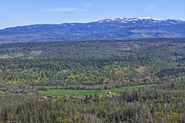 9568 Blue Mountain Ranch Rd, Whitmore, CA 96096 - photo 70