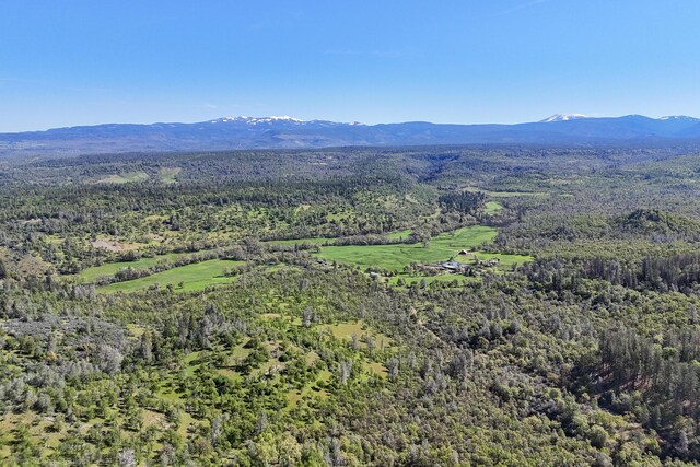 9568 Blue Mountain Ranch Rd, Whitmore, CA 96096 - photo 71