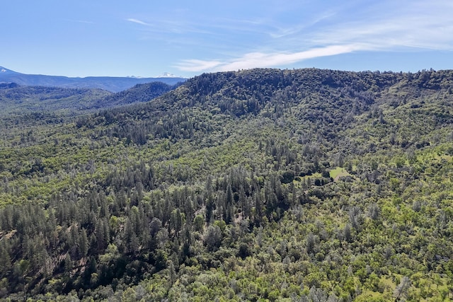 9568 Blue Mountain Ranch Rd, Whitmore, CA 96096 - photo 72