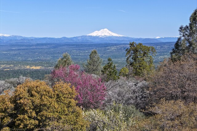 9568 Blue Mountain Ranch Rd, Whitmore, CA 96096 - photo 73