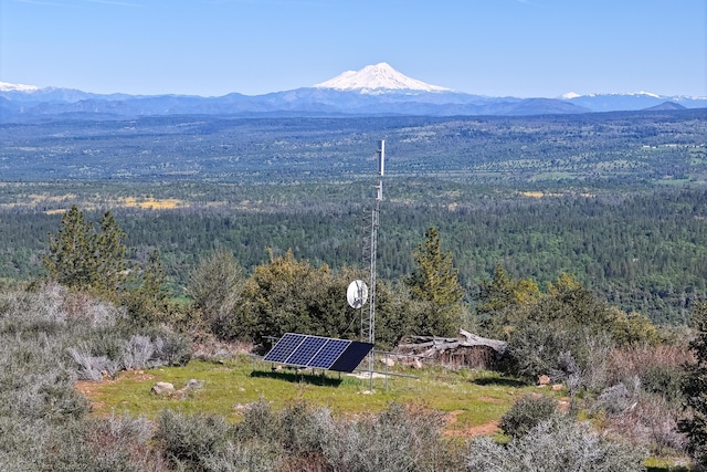 9568 Blue Mountain Ranch Rd, Whitmore, CA 96096 - photo 74