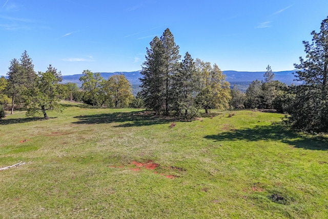 9568 Blue Mountain Ranch Rd, Whitmore, CA 96096 - photo 75