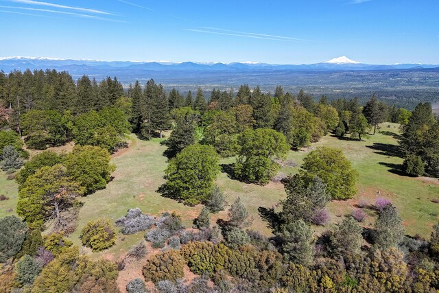 9568 Blue Mountain Ranch Rd, Whitmore, CA 96096 - photo 77