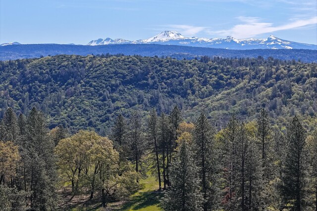 9568 Blue Mountain Ranch Rd, Whitmore, CA 96096 - photo 79
