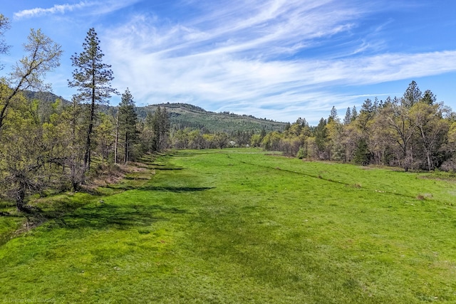 9568 Blue Mountain Ranch Rd, Whitmore, CA 96096 - photo 80