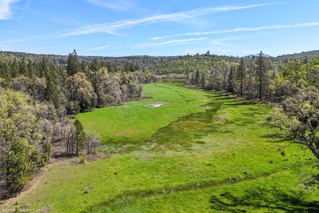 9568 Blue Mountain Ranch Rd, Whitmore, CA 96096 - photo 81