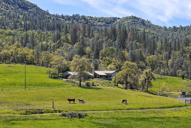 9568 Blue Mountain Ranch Rd, Whitmore, CA 96096 - photo 83