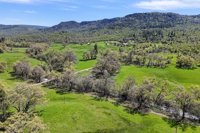 9568 Blue Mountain Ranch Rd, Whitmore, CA 96096 - photo 84