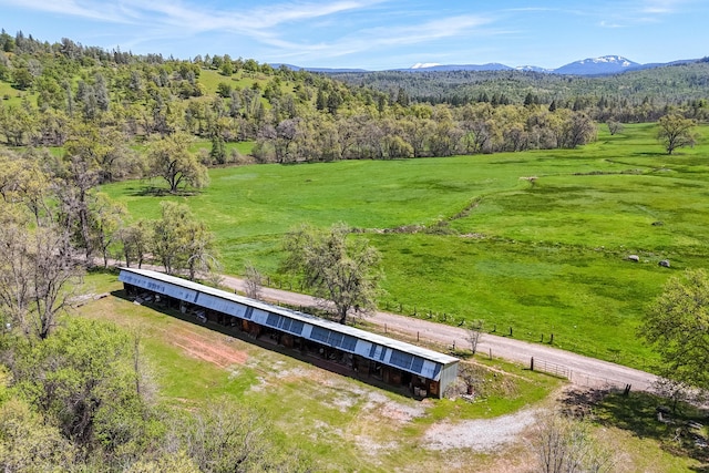 9568 Blue Mountain Ranch Rd, Whitmore, CA 96096 - photo 85