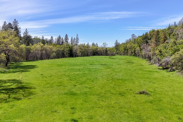 9568 Blue Mountain Ranch Rd, Whitmore, CA 96096 - photo 87