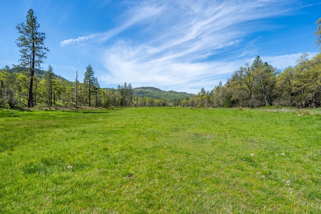 9568 Blue Mountain Ranch Rd, Whitmore, CA 96096 - photo 88