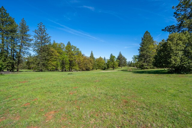 9568 Blue Mountain Ranch Rd, Whitmore, CA 96096 - photo 89
