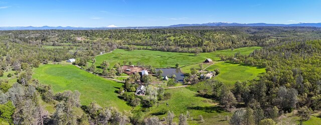 9568 Blue Mountain Ranch Rd, Whitmore, CA 96096 - photo 92
