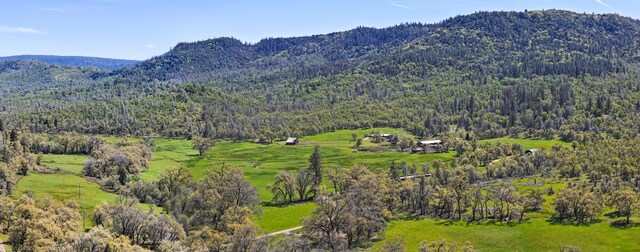 9568 Blue Mountain Ranch Rd, Whitmore, CA 96096 - photo 93
